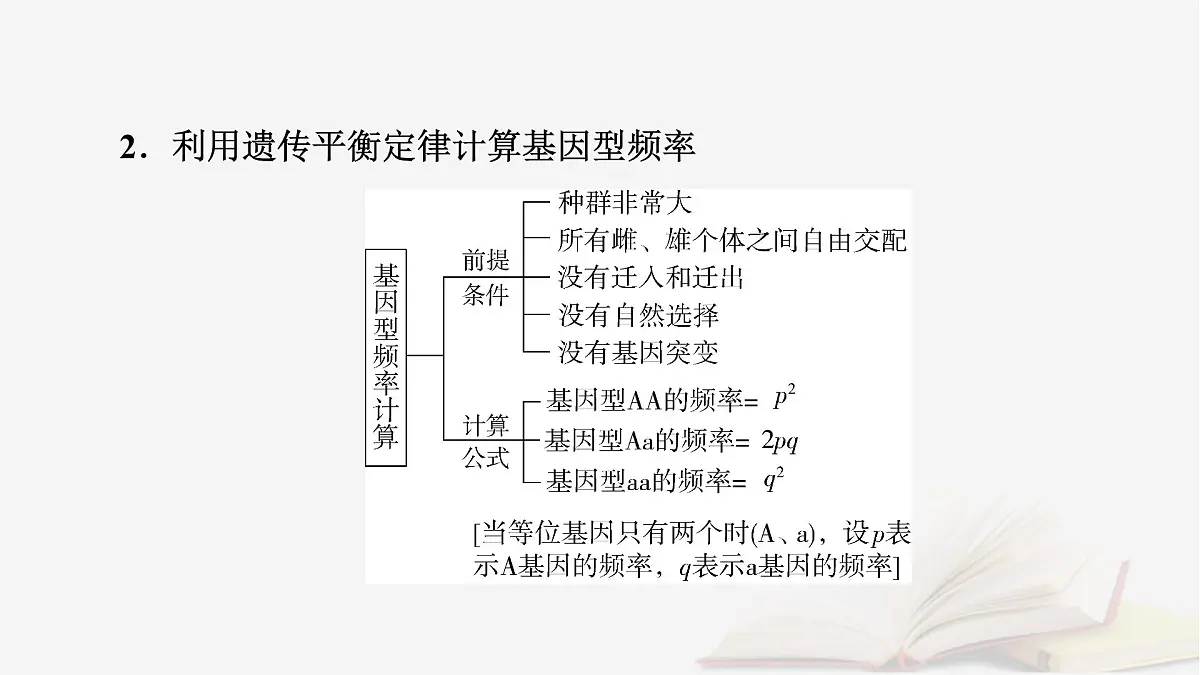 2026届高考生物一轮总复习必修2微专题11种群基因频率计算及应用课件第3页