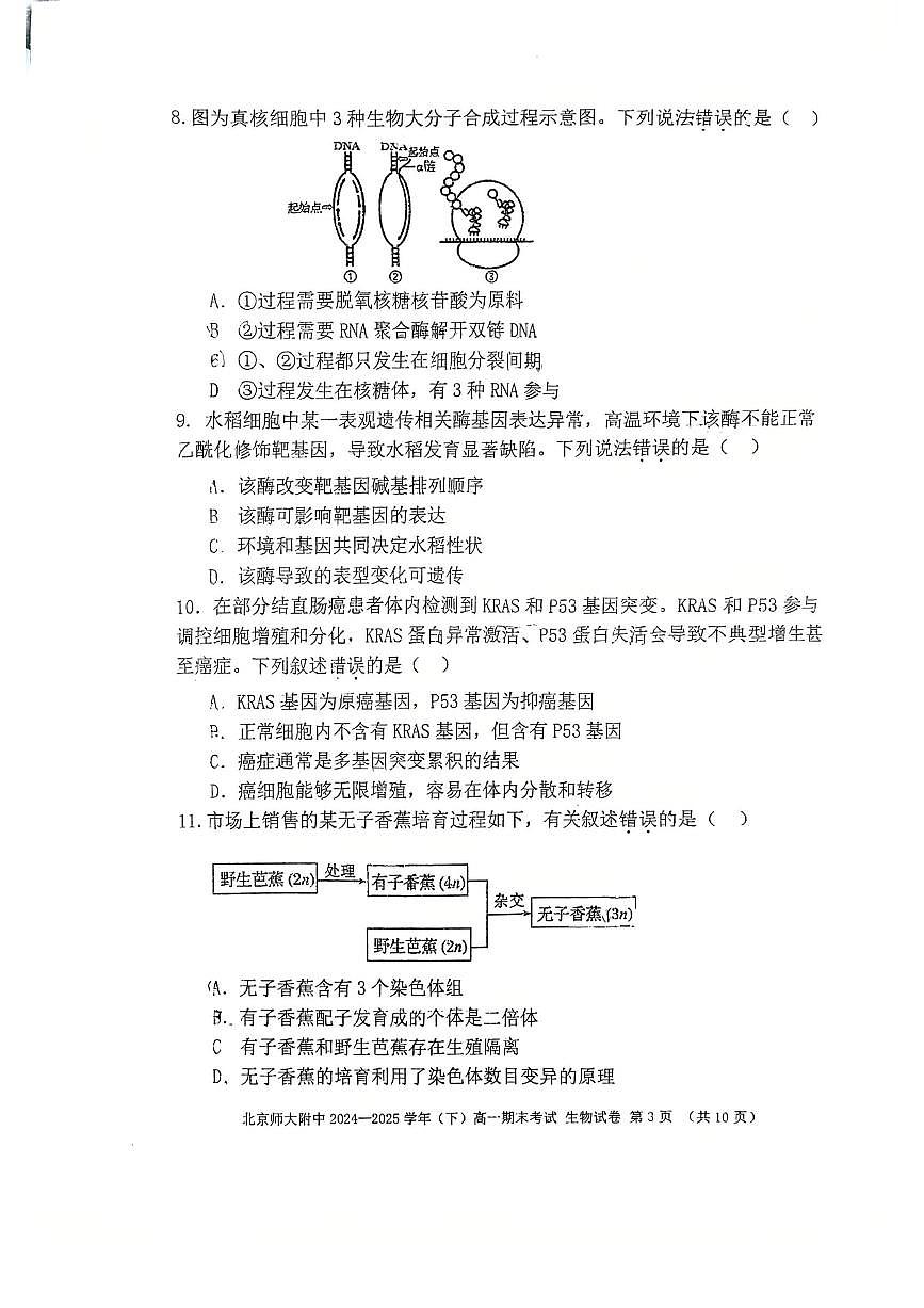 2025北京北师大附中高一（下）期末生物试卷 无答案第3页