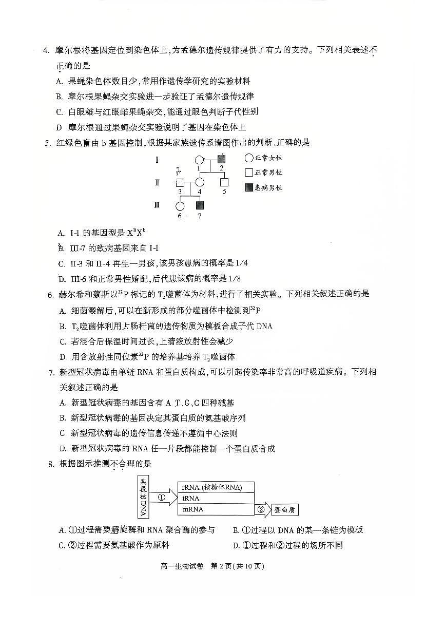 2025北京朝阳高一（下）期末生物试卷 有答案第2页