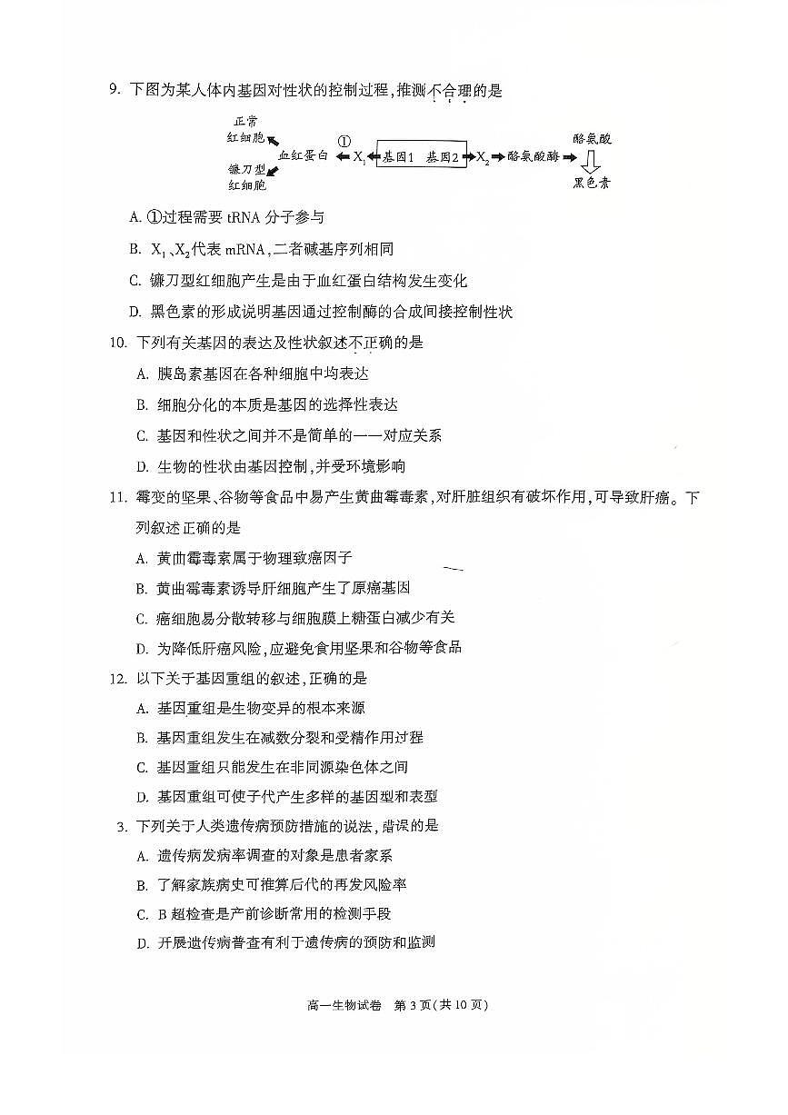 2025北京朝阳高一（下）期末生物试卷 有答案第3页
