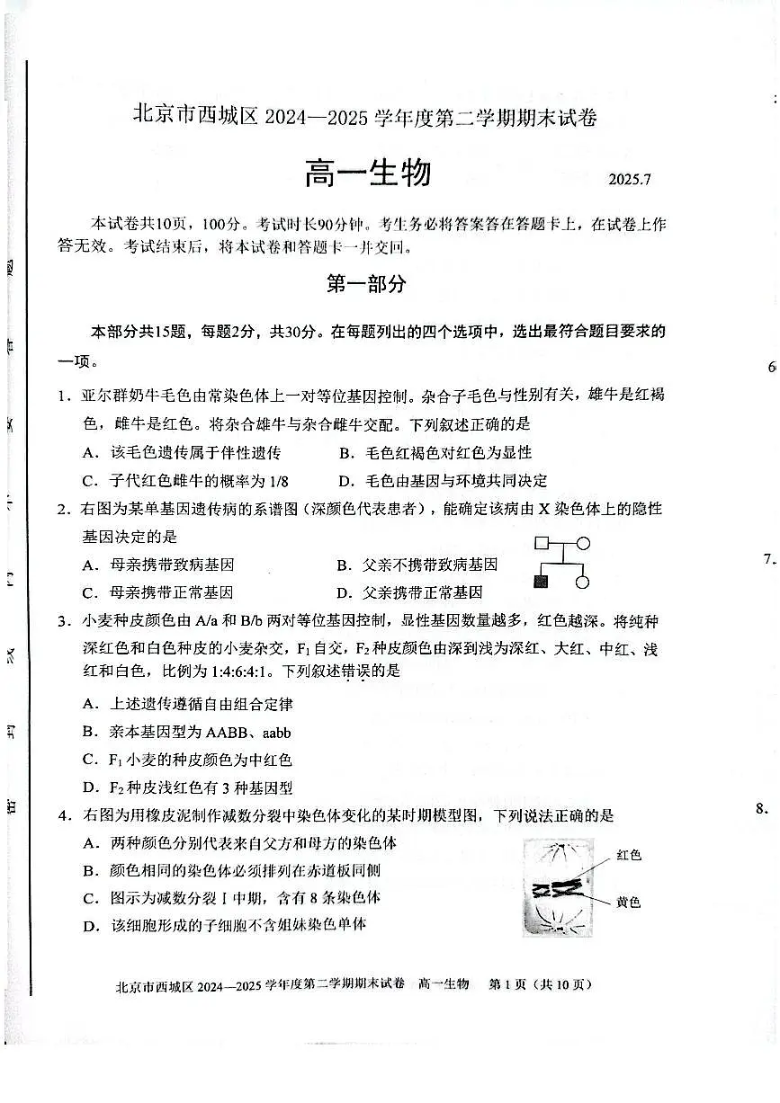2025北京西城高一下学期期末生物试题及答案第1页