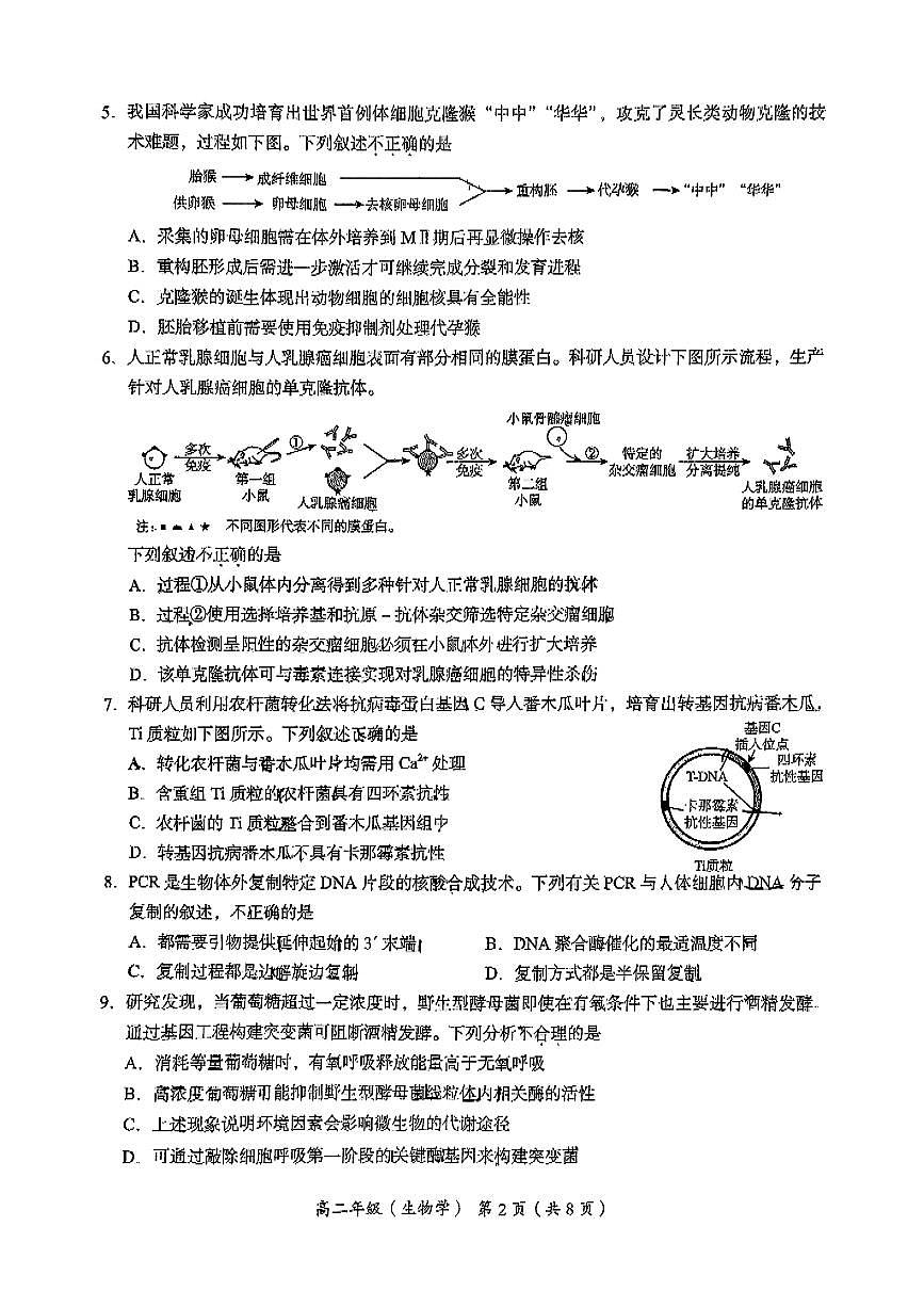 2025北京海淀高二（下）期末生物试卷第2页