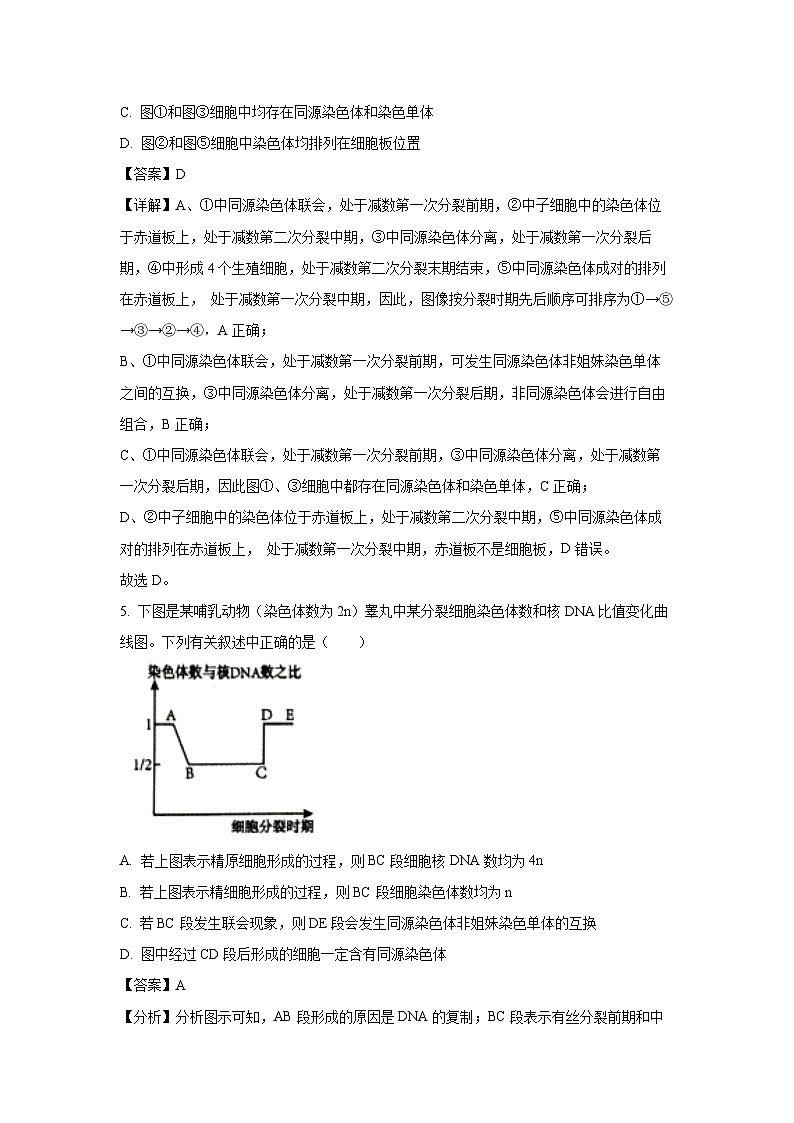 【生物】江苏省联考2024-2025学年高一下学期5月月考试题（解析版）第3页
