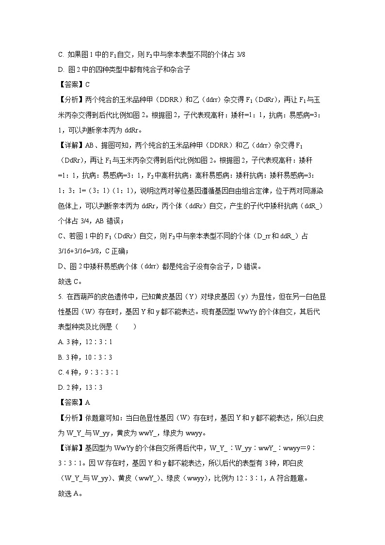 【生物】河北省保定市六校联考2023-2024学年高一下学期期中试题（解析版）第3页