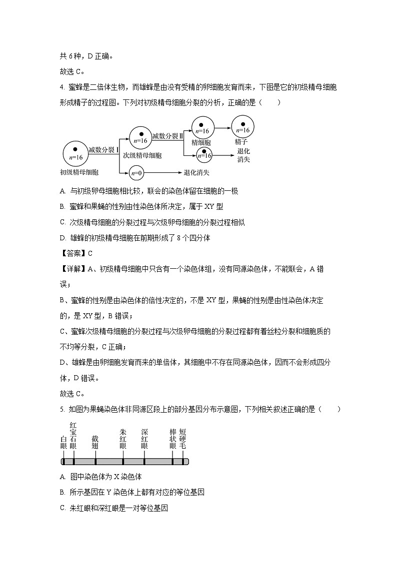 【生物】江苏省部分高中2024-2025学年高一下学期期末迎考试题（解析版）第3页