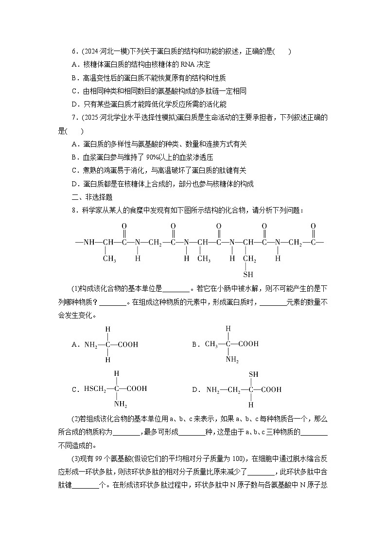 2026届高考生物一轮总复习提能训练练案3蛋白质是生命活动的主要承担者第2页