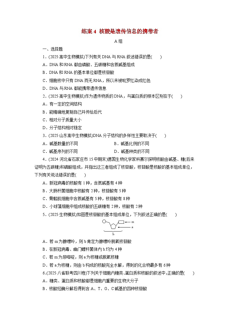 2026届高考生物一轮总复习提能训练练案4核酸是遗传信息的携带者第1页