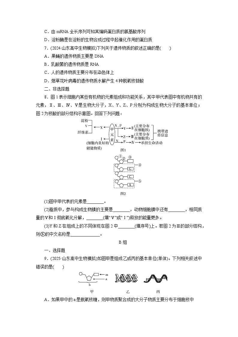 2026届高考生物一轮总复习提能训练练案4核酸是遗传信息的携带者第2页
