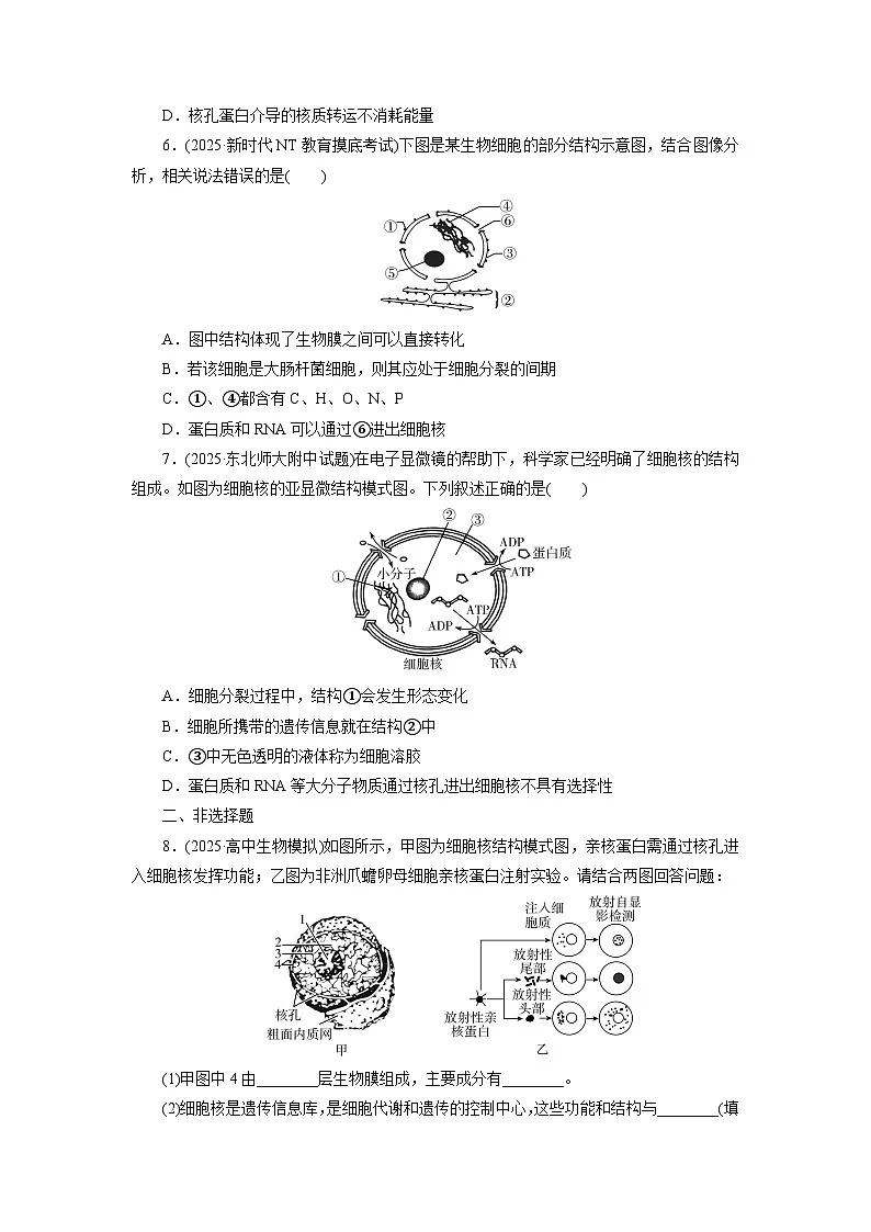 2026届高考生物一轮总复习提能训练练案5细胞膜和细胞核第2页