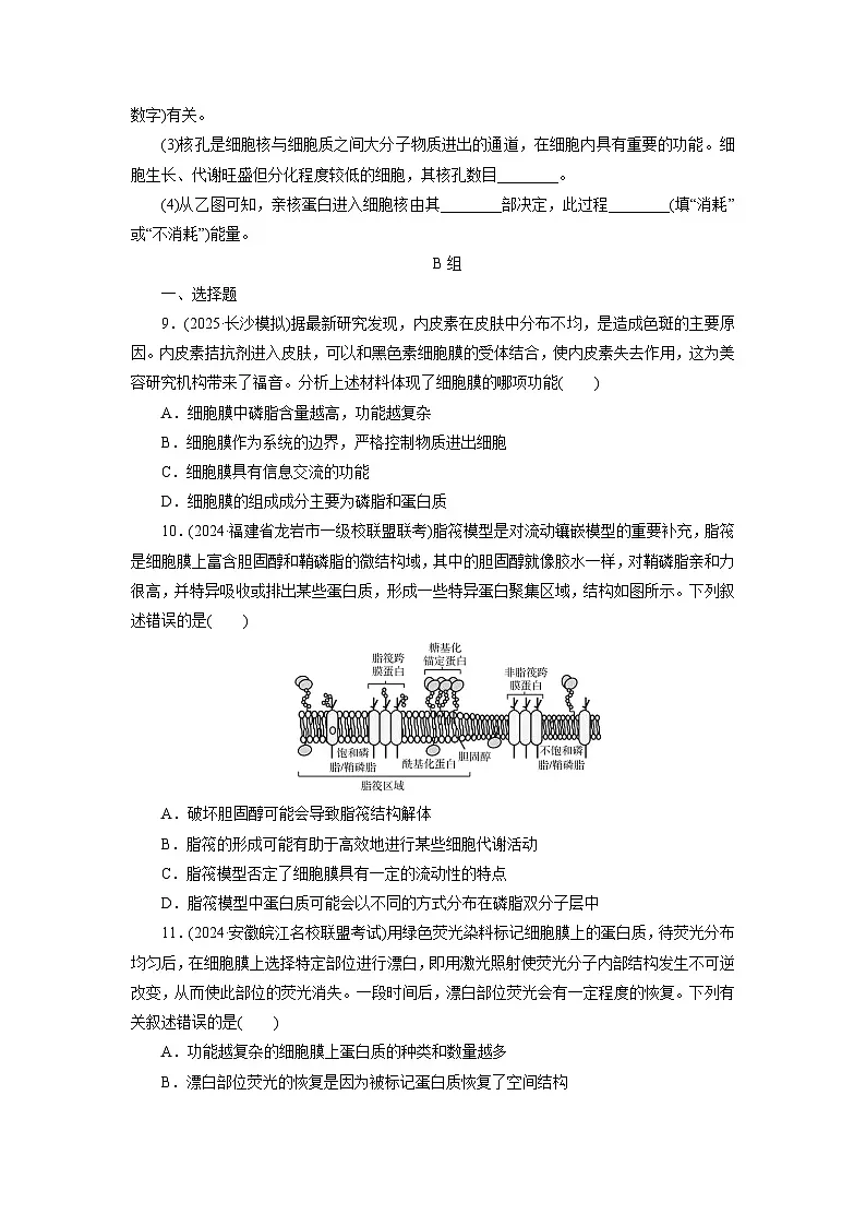 2026届高考生物一轮总复习提能训练练案5细胞膜和细胞核第3页