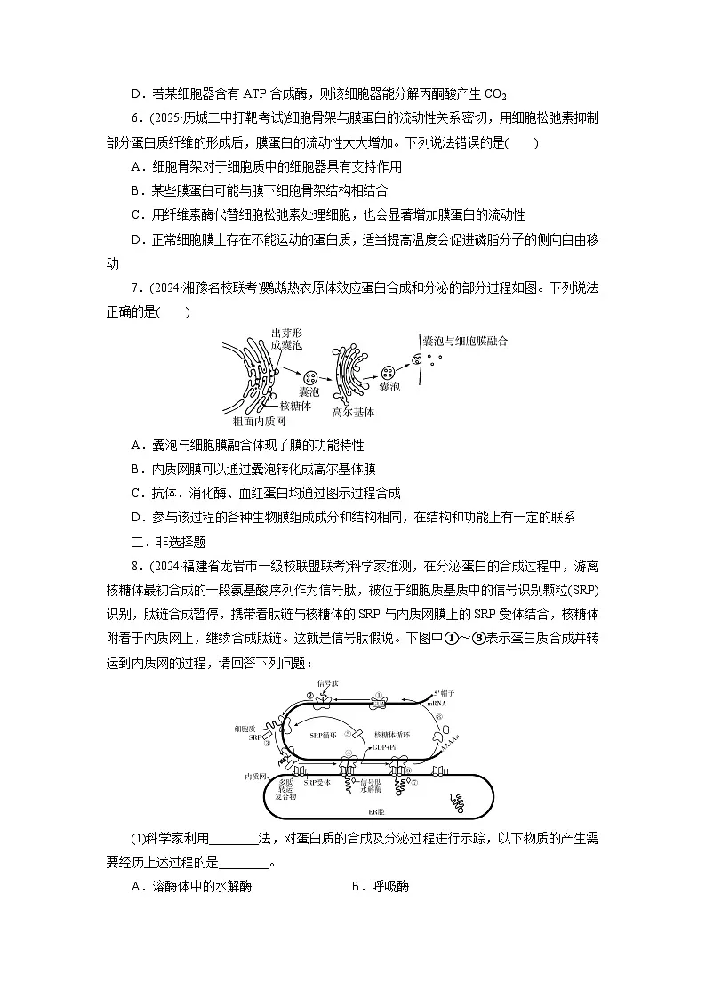 2026届高考生物一轮总复习提能训练练案6细胞器和生物膜系统第2页