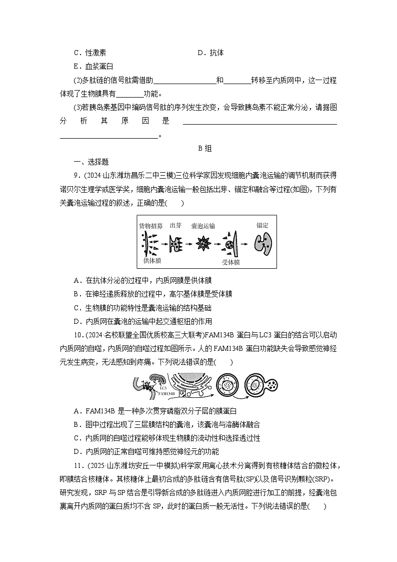 2026届高考生物一轮总复习提能训练练案6细胞器和生物膜系统第3页