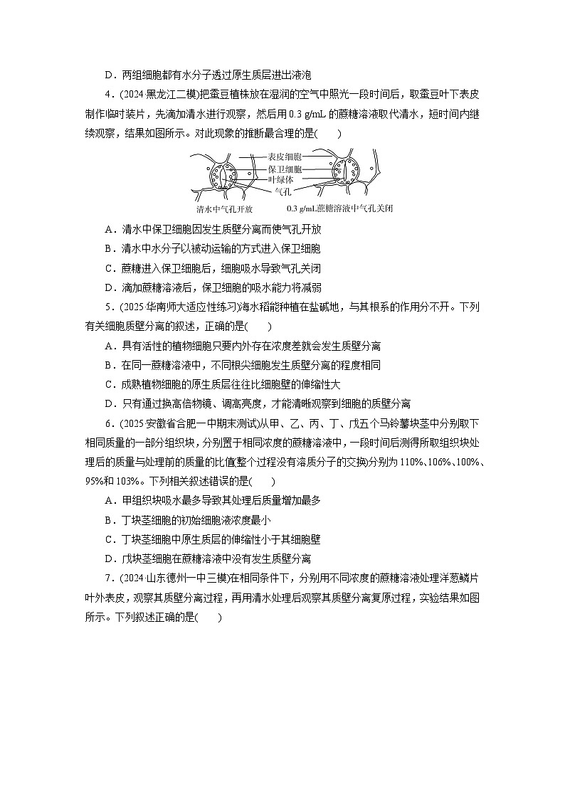 2026届高考生物一轮总复习提能训练练案7水进出细胞的原理第2页