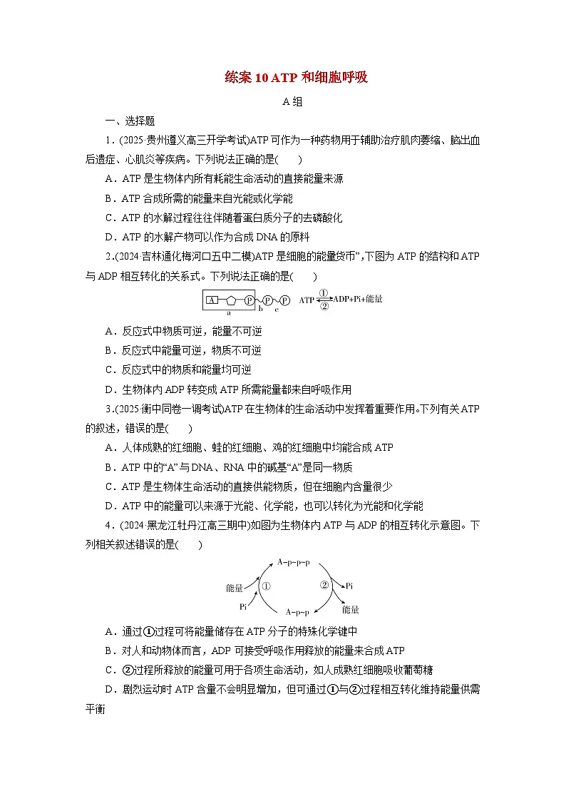2026届高考生物一轮总复习提能训练练案10ATP和细胞呼吸第1页