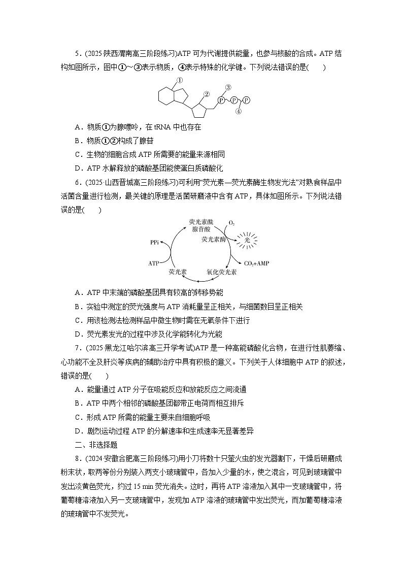 2026届高考生物一轮总复习提能训练练案10ATP和细胞呼吸第2页