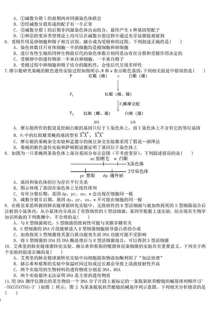 生物-黑龙江省哈尔滨师范大学附属中学2024-2025学年高一下学期7月期末试题和解析第2页