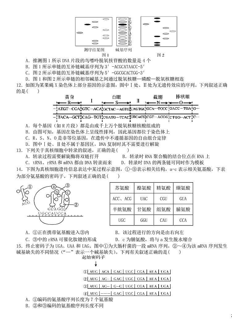 生物-黑龙江省哈尔滨师范大学附属中学2024-2025学年高一下学期7月期末试题和解析第3页