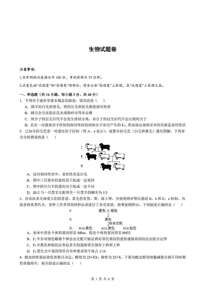 安徽省智学联考2024-2025学年高一下学期7月期末考试 生物 PDF版含解析第1页