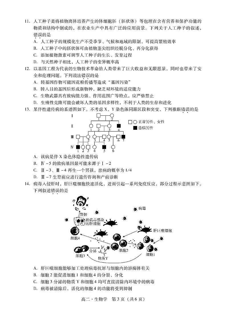 广东省揭阳市2024-2025学年高二下学期期末考试 生物 PDF版含答案第3页