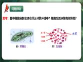 人教版（2019）高中生物選擇性必修一1.1細胞生活的環(huán)境 課件