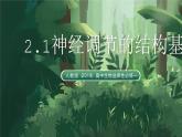 人教版（2019）高中生物選擇性必修一2.1 神經(jīng)調(diào)節(jié)的結(jié)構(gòu)基礎(chǔ) 課件