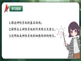 人教版（2019）高中生物選擇性必修一2.1 神經(jīng)調(diào)節(jié)的結(jié)構(gòu)基礎(chǔ) 課件