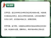 人教版（2019）高中生物選擇性必修一2.1 神經(jīng)調(diào)節(jié)的結(jié)構(gòu)基礎(chǔ) 課件