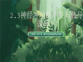 人教版（2019）高中生物選擇性必修一2.3神經(jīng)沖動(dòng)的產(chǎn)生與傳導(dǎo)（第1課時(shí)） 課件