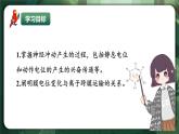 人教版（2019）高中生物選擇性必修一2.3神經(jīng)沖動(dòng)的產(chǎn)生與傳導(dǎo)（第1課時(shí)） 課件