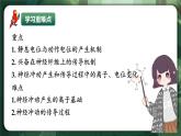 人教版（2019）高中生物選擇性必修一2.3神經(jīng)沖動(dòng)的產(chǎn)生與傳導(dǎo)（第1課時(shí)） 課件