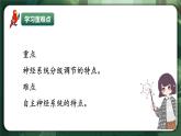 人教版（2019）高中生物選擇性必修一2.4神經(jīng)系統(tǒng)的分級調(diào)節(jié) 課件