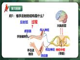 人教版（2019）高中生物選擇性必修一2.4神經(jīng)系統(tǒng)的分級調(diào)節(jié) 課件