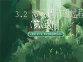 人教版（2019）高中生物選擇性必修一3.2 激素調(diào)節(jié)的過程（第2課時(shí)）課件