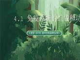 人教版（2019）高中生物選擇性必修一4.1 免疫系統(tǒng)的組成和功能 課件