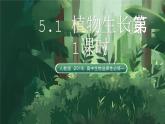 人教版（2019）高中生物選擇性必修一5.1 植物生長素(第1課時) 課件