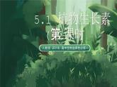 人教版（2019）高中生物選擇性必修一5.1 植物生長素(第2課時) 課件