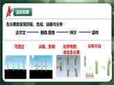 人教版（2019）高中生物選擇性必修一5.1 植物生長素(第2課時) 課件