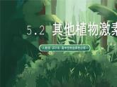 人教版（2019）高中生物選擇性必修一5.2 其他植物激素 課件