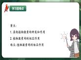 人教版（2019）高中生物選擇性必修一5.2 其他植物激素 課件
