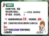 人教版（2019）高中生物選擇性必修一5.2 其他植物激素 課件