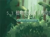 人教版（2019）高中生物選擇性必修一5.3 植物生長調(diào)節(jié)劑的應(yīng)用 課件