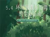 人教版（2019）高中生物選擇性必修一5.4 環(huán)境因素參與調(diào)節(jié)植物的生命活動(dòng) 課件