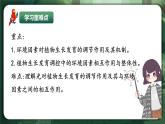 人教版（2019）高中生物選擇性必修一5.4 環(huán)境因素參與調(diào)節(jié)植物的生命活動(dòng) 課件