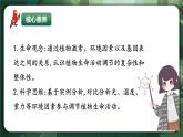 人教版（2019）高中生物選擇性必修一5.4 環(huán)境因素參與調(diào)節(jié)植物的生命活動(dòng) 課件