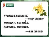 人教版（2019）高中生物選擇性必修一5.4 環(huán)境因素參與調(diào)節(jié)植物的生命活動(dòng) 課件
