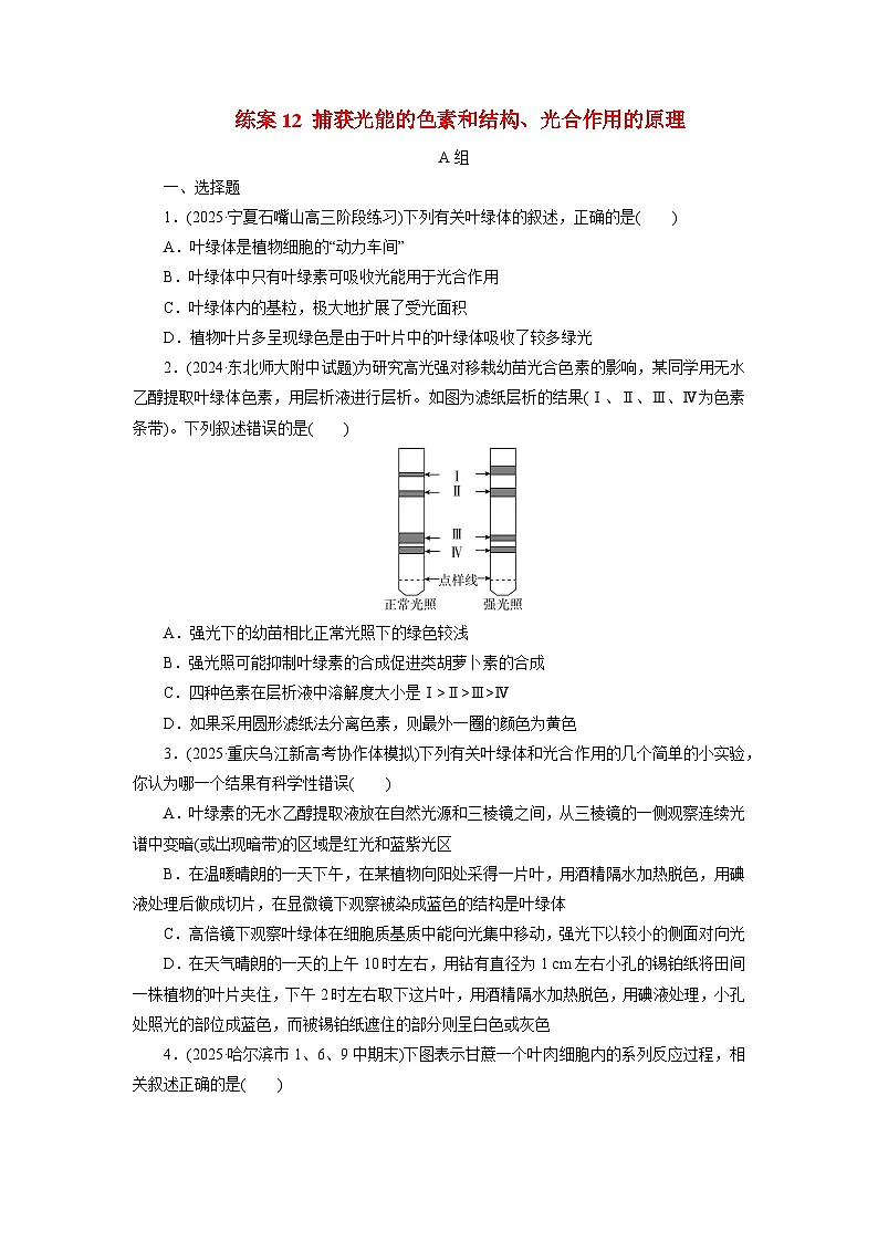 2026届高考生物一轮总复习提能训练练案12捕获光能的色素和结构光合作用的原理第1页