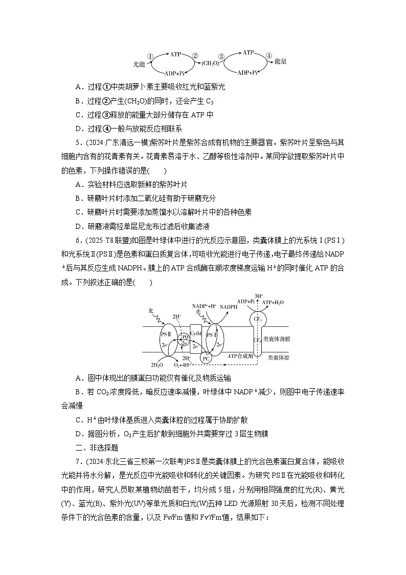 2026届高考生物一轮总复习提能训练练案12捕获光能的色素和结构光合作用的原理第2页