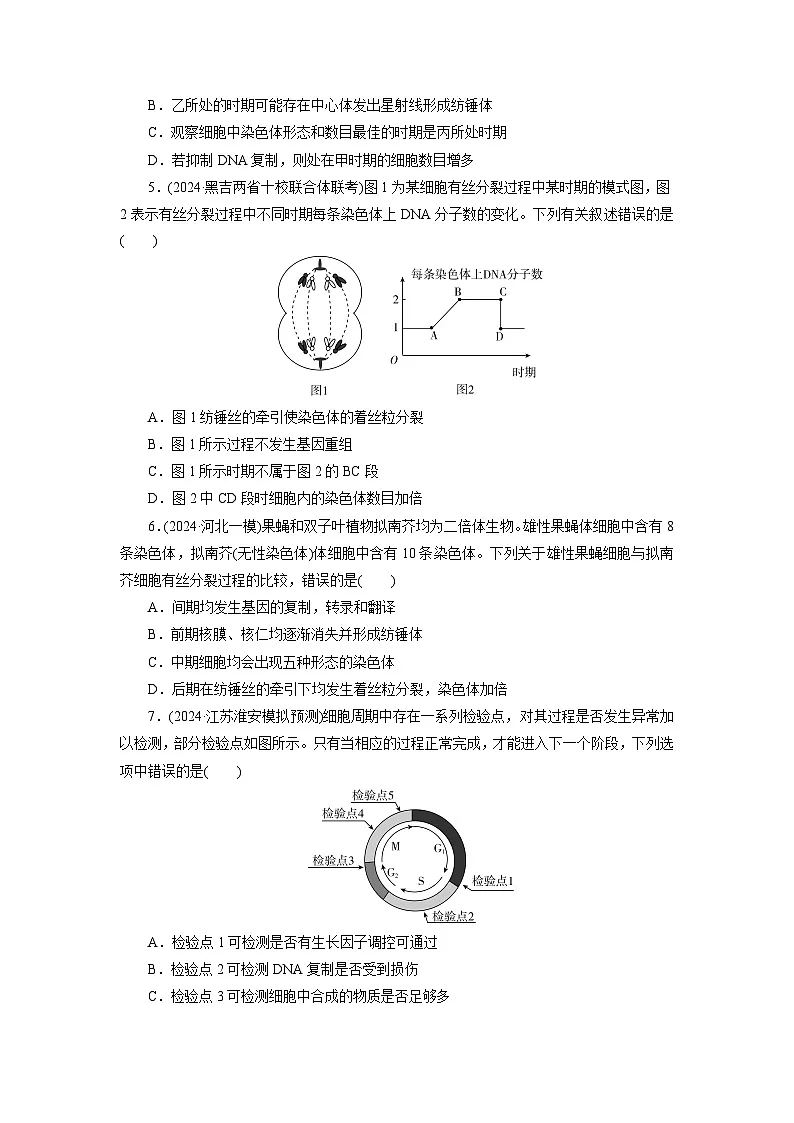 2026届高考生物一轮总复习提能训练练案15细胞的增殖第2页