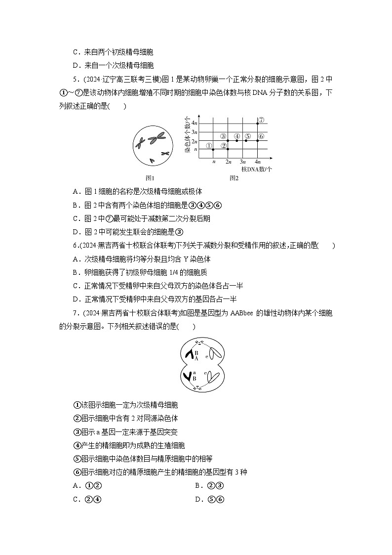 2026届高考生物一轮总复习提能训练练案16细胞的减数分裂和受精作用第2页