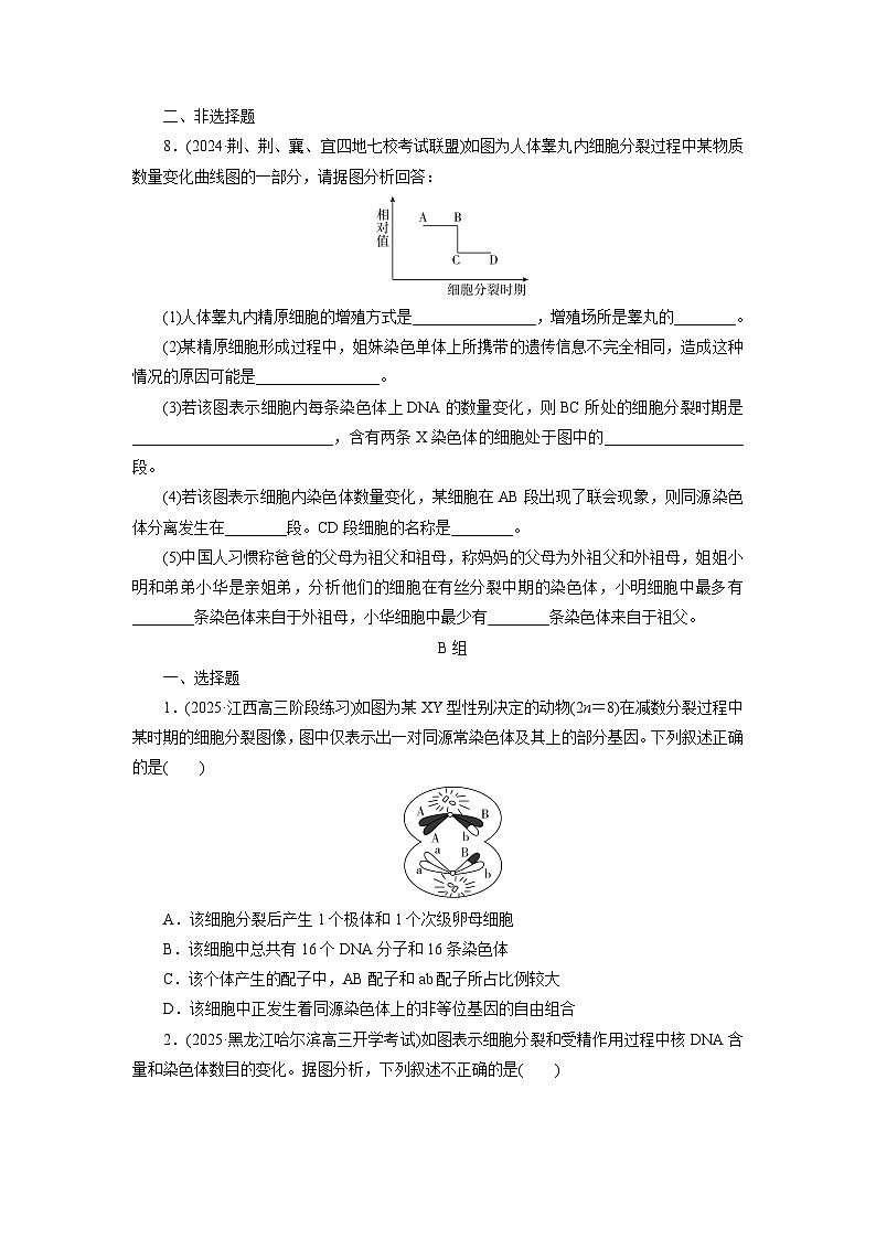 2026届高考生物一轮总复习提能训练练案16细胞的减数分裂和受精作用第3页